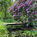 Dromen Op 1 - Stijlvolle En Knusse Vakantiewoning Met Veranda En Grote Omheinde Tuin! Casa de Férias *