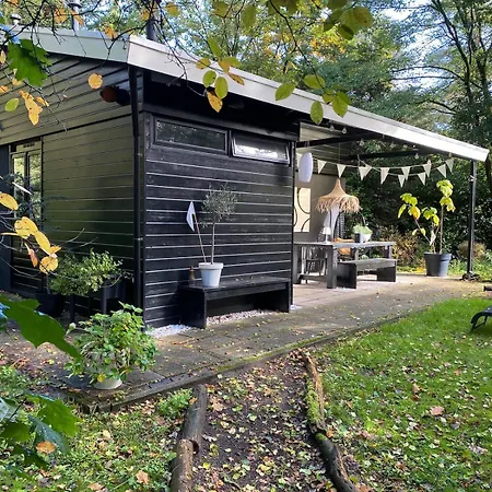 Dromen Op 1 - Stijlvol Boshuis Op De Veluwe Met Veranda En Grote Omheinde Tuin! בית נופש