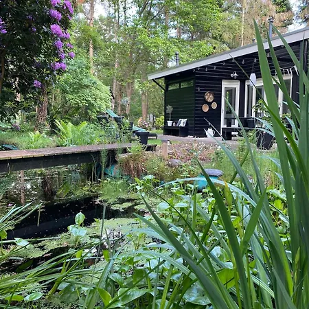 Dromen Op 1 - Stijlvol Boshuis Op De Veluwe Met Veranda En Grote Omheinde Tuin! *
