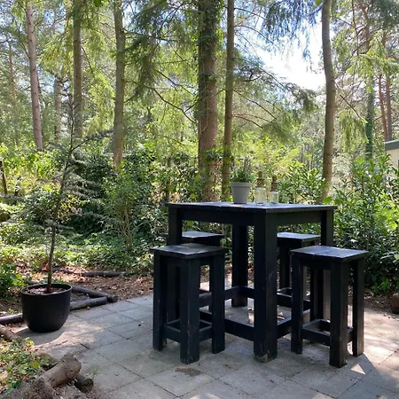 Dromen Op 1 - Stijlvol Boshuis Op De Veluwe Met Veranda En Grote Omheinde Tuin! *