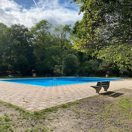 Dromen Op 1 - Stijlvol Boshuis Op De Veluwe Met Veranda En Grote Omheinde Tuin!