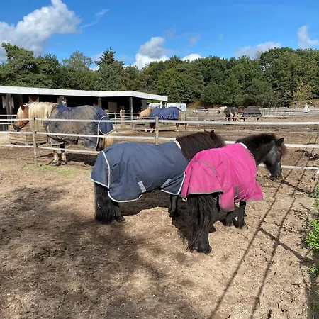בית נופש Dromen Op 1 - Stijlvol Boshuis Op De Veluwe Met Veranda En Grote Omheinde Tuin!