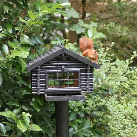 בית נופש Dromen Op 1 - Stijlvol Boshuis Op De Veluwe Met Veranda En Grote Omheinde Tuin! נונספייט