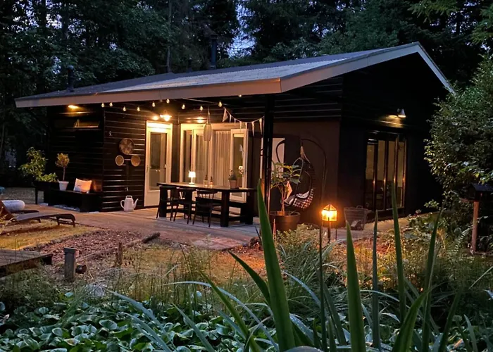 Dromen Op 1 * Nunspeet