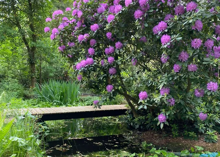 Dromen Op 1 Vakantiehuis *