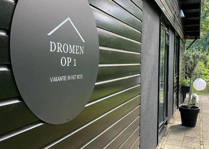 Ferienhaus Dromen Op 1 *